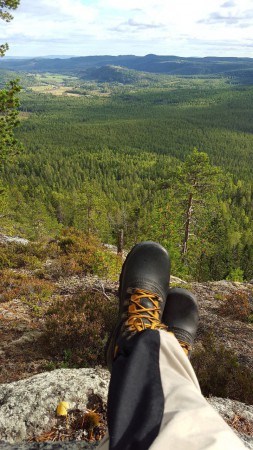 Från toppen av Hornberget med utsikt över Svågadalen. 